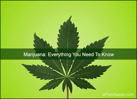 what is marijuana GIF by ePainAssist.com