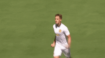 2015 icc GIF by International Champions Cup