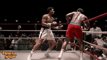 200.gif?cid=fc005b08f23e036ee55771eddea1c24e8fe9bbd51ff03339&rid=200.gif&ct=g