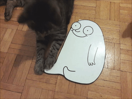 tezpotrafierysowac funny cat tezpotrafierysowac GIF