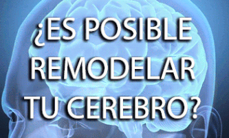 cynmilo psicologia ciencia neurociencias neuroplasticidad GIF