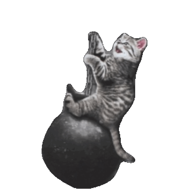Wrecking Ball Cat Sticker by imoji for iOS & Android GIPHY