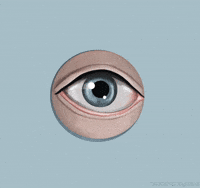 eyeball gif