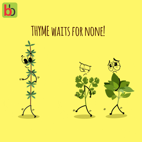 bigbasket funny cute food food pun GIF