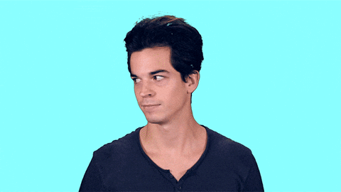Giphy - Hide Reaction GIF by flor