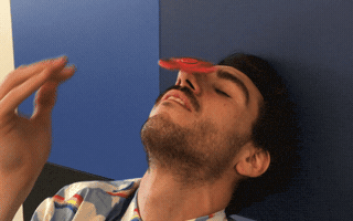 verneelpais spinner GIF