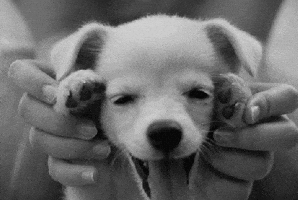 Branded  GIF