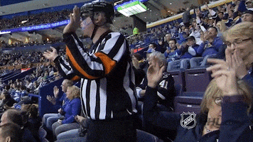ice hockey referee GIF by NHL