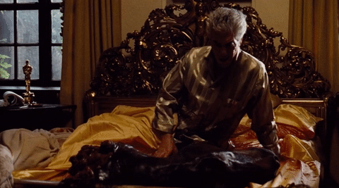  movie horse blood the godfather francis ford coppola GIF