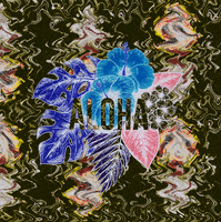 flames aloha GIF by A.M.T.G. G.G.