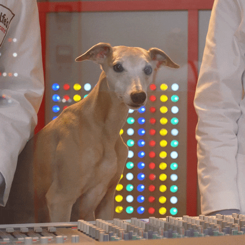 Surprise Wow GIF by Metcalfe's Skinny Popcorn