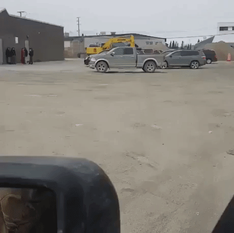 fedehidalgonino  GIF