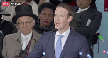 madisonmalonekircher  GIF