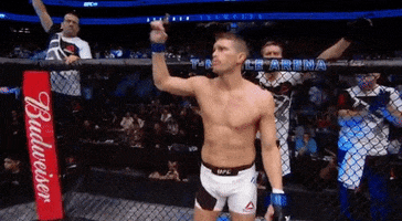 Hand Up Ufc 209 GIF by UFC