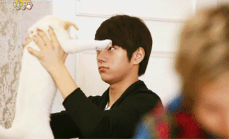 yyjj95  GIF