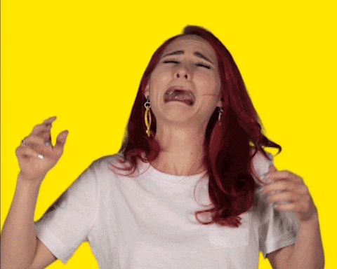 giphy.gif?cid=8fc3c8975ce4aaaa5830644d63d2ce89&rid=giphy.gif
