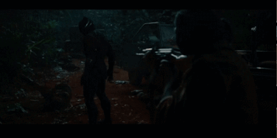 lucassiegel black panther GIF