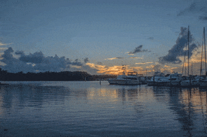 rolando  GIF