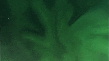 nn  GIF