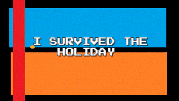 stephs i survived the holidays GIF