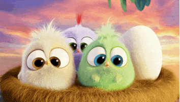 #1 hatchlings GIF by Angry Birds