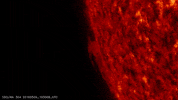 nasa goddard sun GIF by NASA's Goddard Space Flight Center