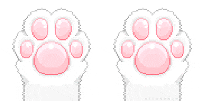 otaku cat GIF