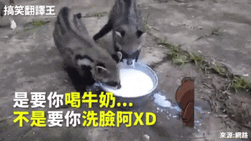 yupgr3dgemvrdxdr  GIF