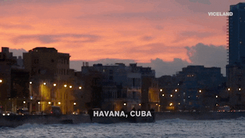 Viceland GIF by VICE WORLD OF SPORTS - Find & Share on GIPHY