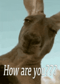 How Do You Suggest We Do That Gifs Get The Best Gif On Giphy