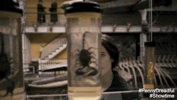 season 3 dr sweet GIF by Showtime