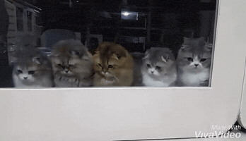 yupgr3dgemvrdxdr  GIF