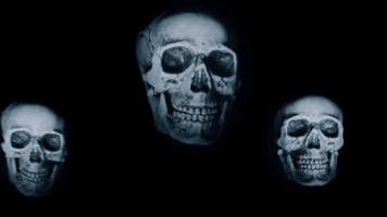 DennisMD #halloween #laughing skulls GIF