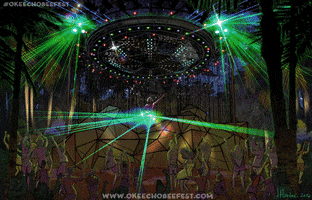 okeechobeefest dance music party festival GIF