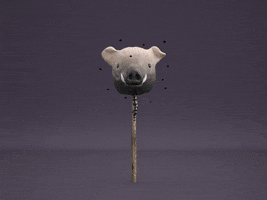 3d pig GIF by Bate