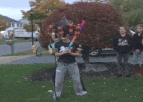 giphy.gif