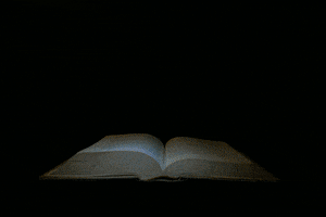 simonleser animation light book lucea spinelli GIF