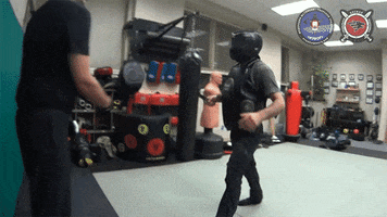 izvor-volk pin aikido arm bar joint lock GIF