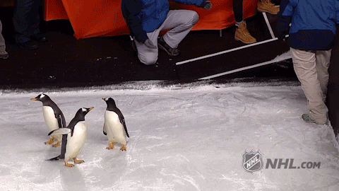 bounce back gif