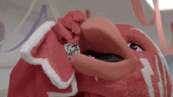 st johns johnnies GIF by BIG EAST Conference