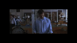 danielapena-ee1e donnie darko - roberta sparrow GIF