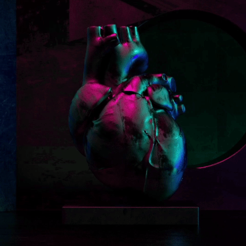 randycano animated GIF