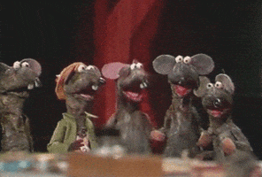 Excited The Muppet Show GIF by Muppet Wiki