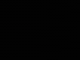 basicmath  GIF