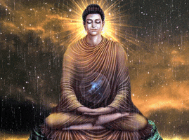 elusive spiritual buddha buddhist goanight GIF