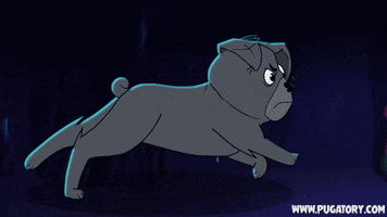 Cartoon gif. Gray dog angrily runs over a wire in front of a deep indigo stage curtain decorated with colorful lights.