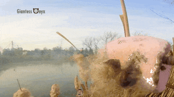 c21fb255eeb5ywhvby5jyq giantess special effects shrinking handheld GIF