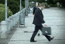 an  GIF