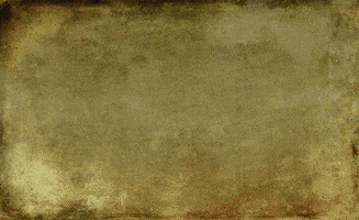 rebirth  GIF