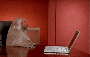 Office Monkey GIF by Bustle